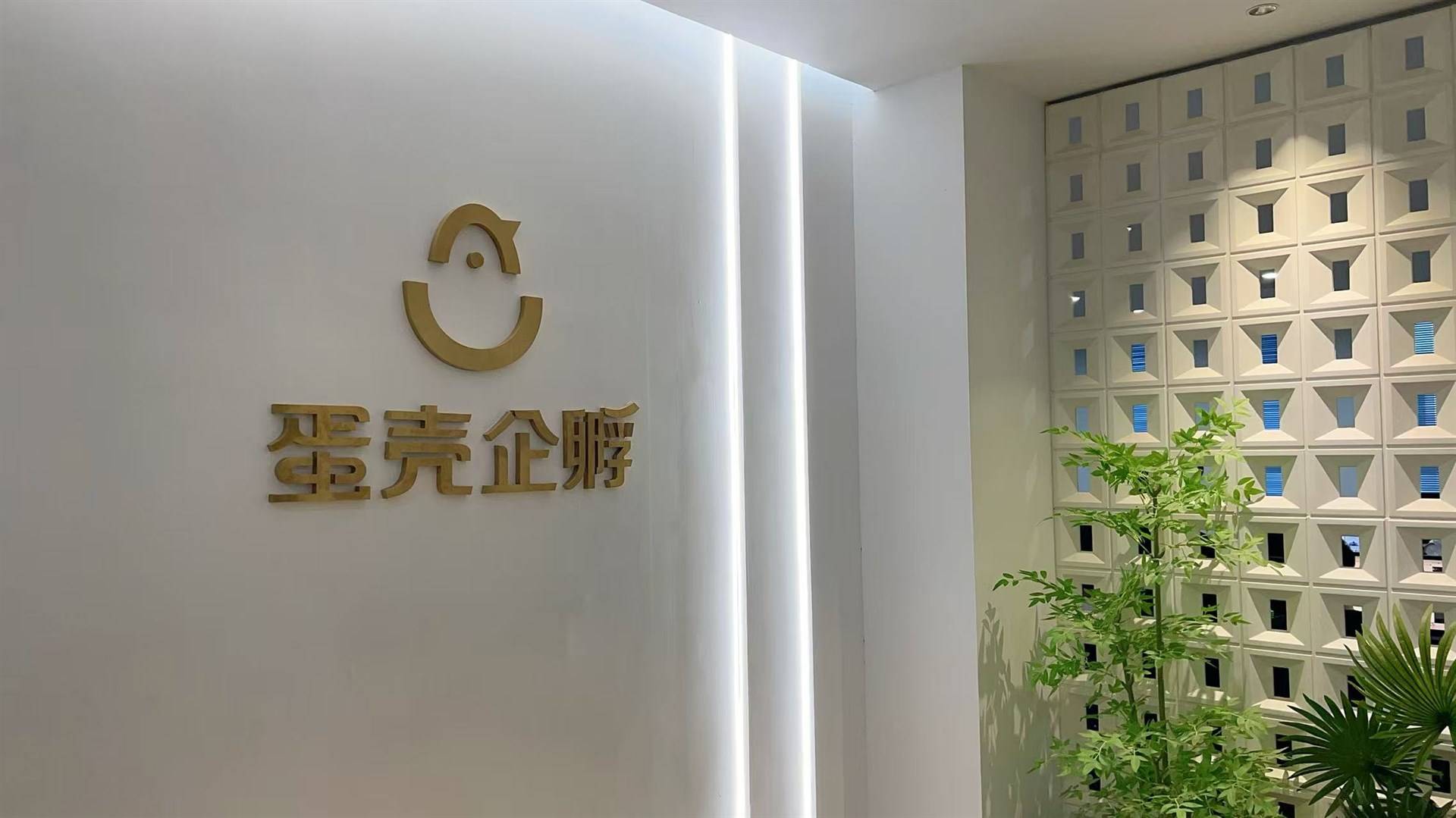 公司展示