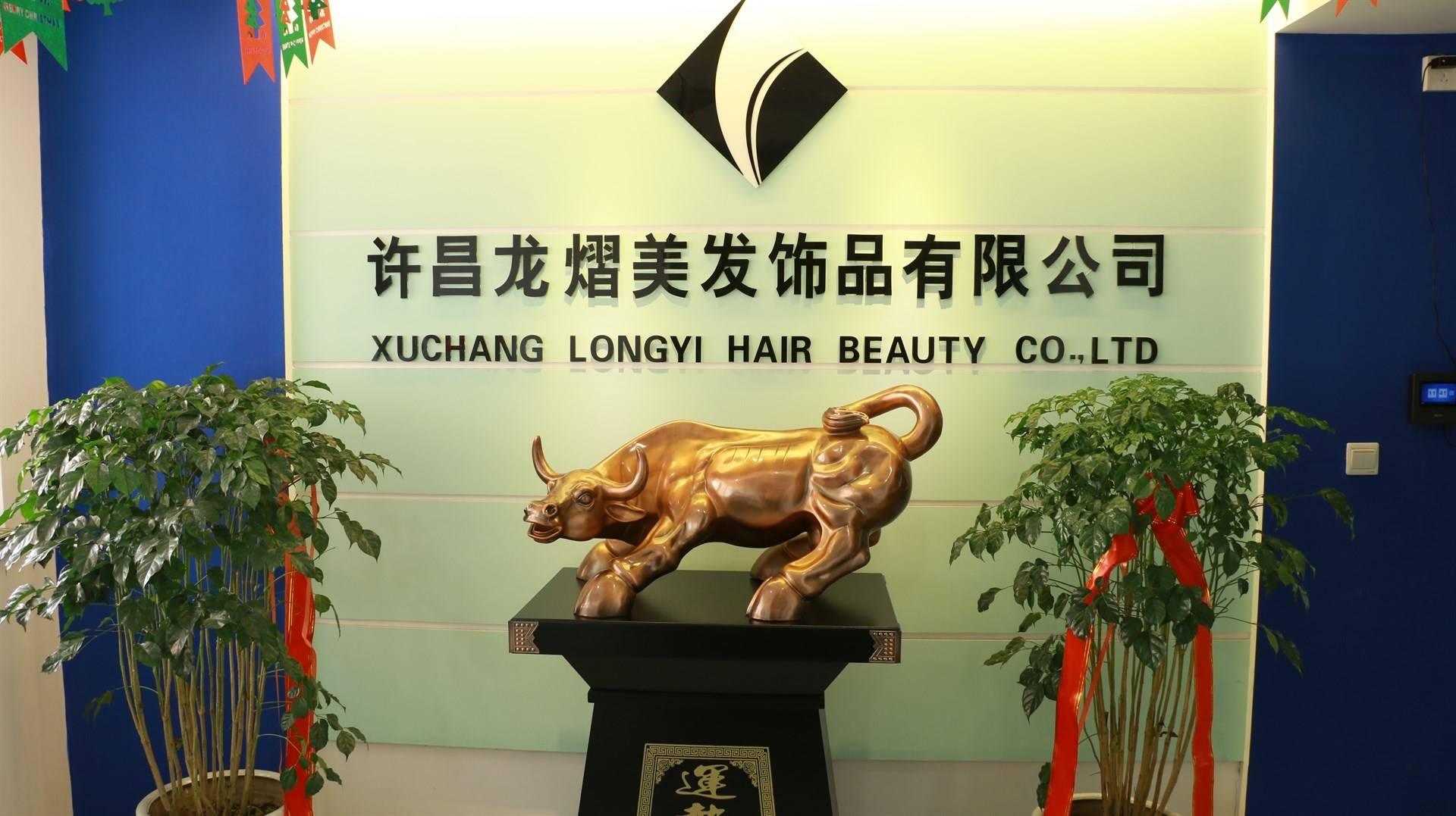 公司展示