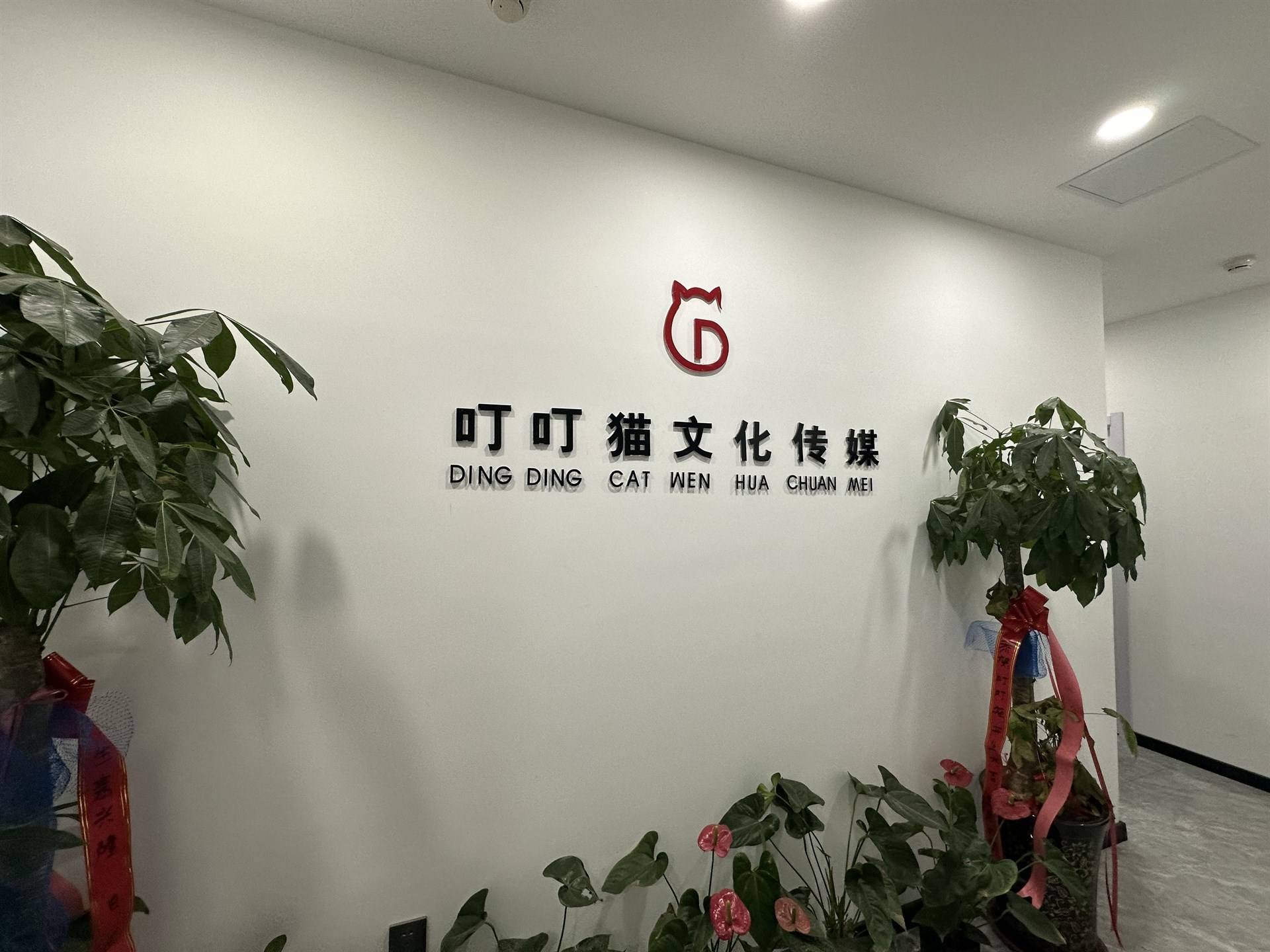公司展示