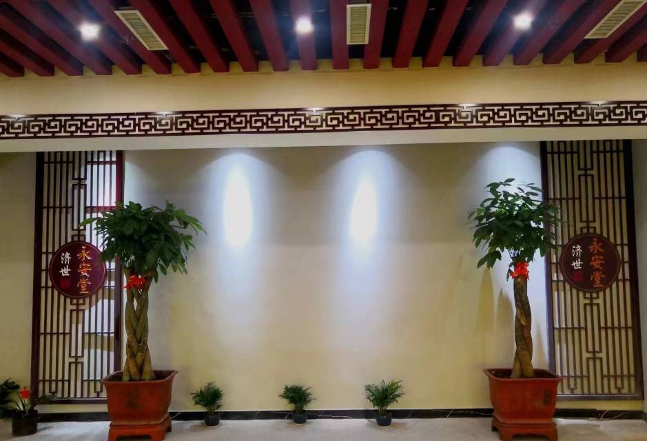 公司展示