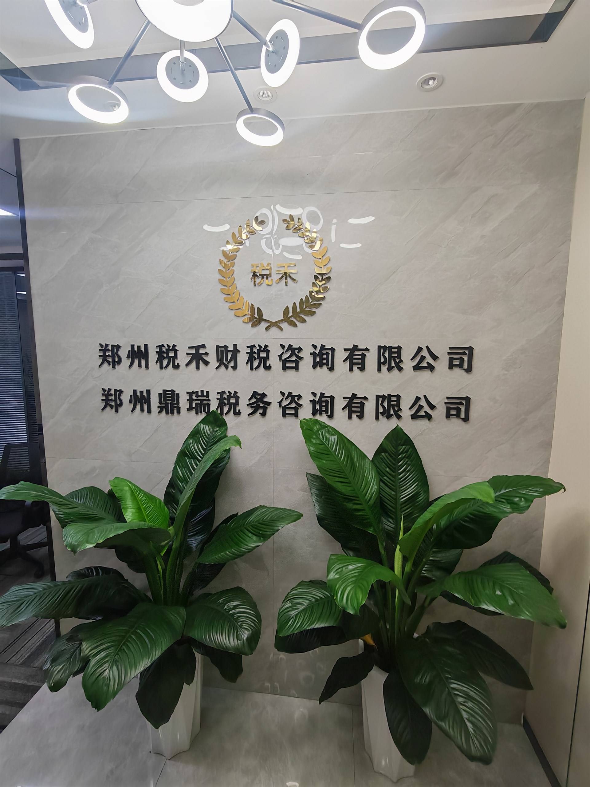 税禾财税的公司展示