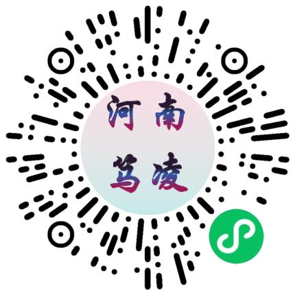 河南笃凌信息科技集团有限公司政府派遣人员扫码投递简历