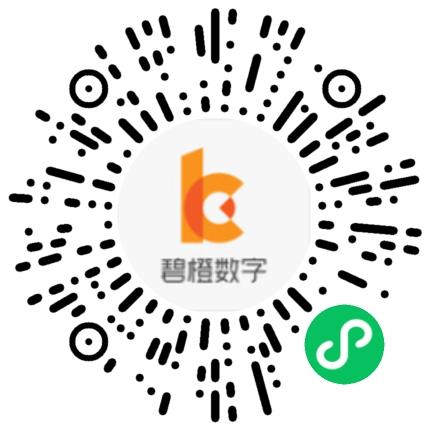 杭州碧橙数字技术股份有限公司网络/在线销售扫码投递简历