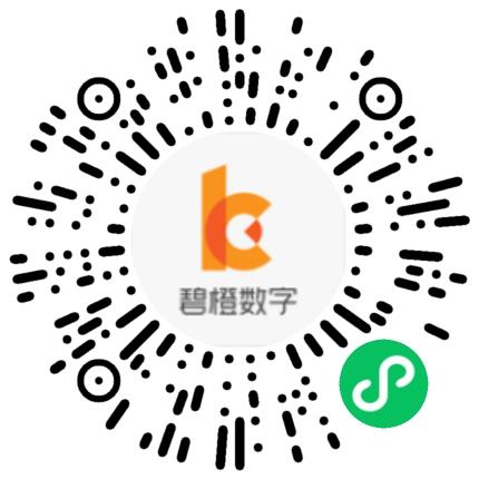 杭州碧橙数字技术股份有限公司会计扫码投递简历