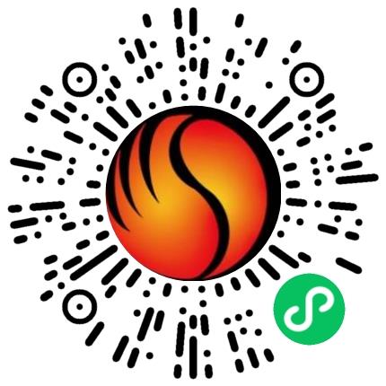 河南省森电电力设备股份有限公司外贸/贸易经理/主管扫码投递简历