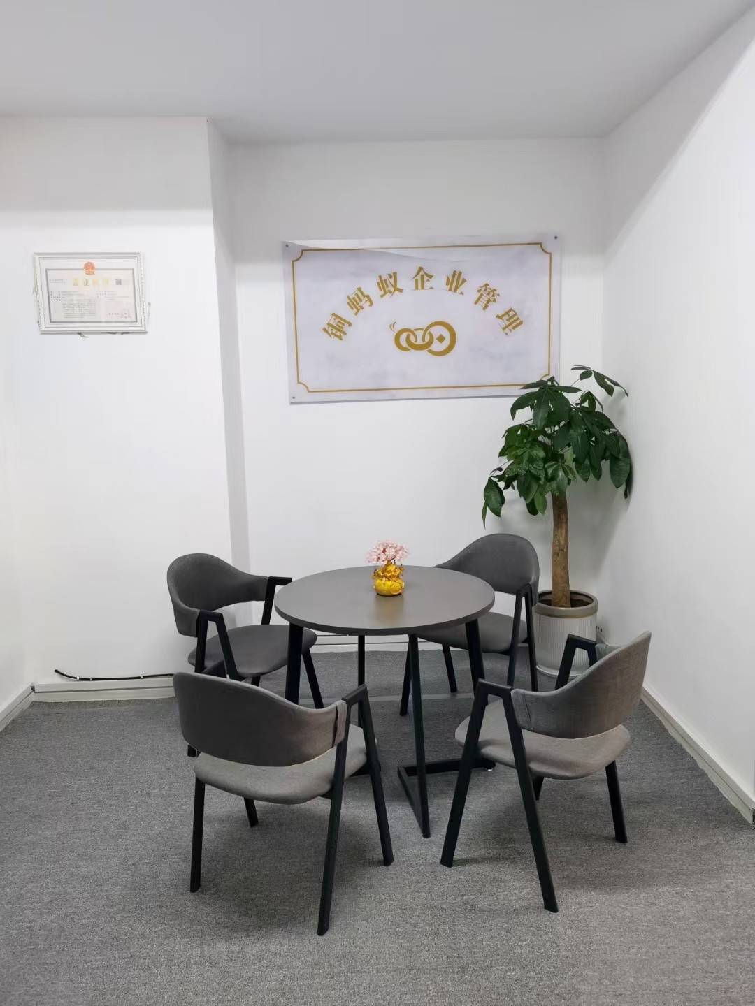公司展示