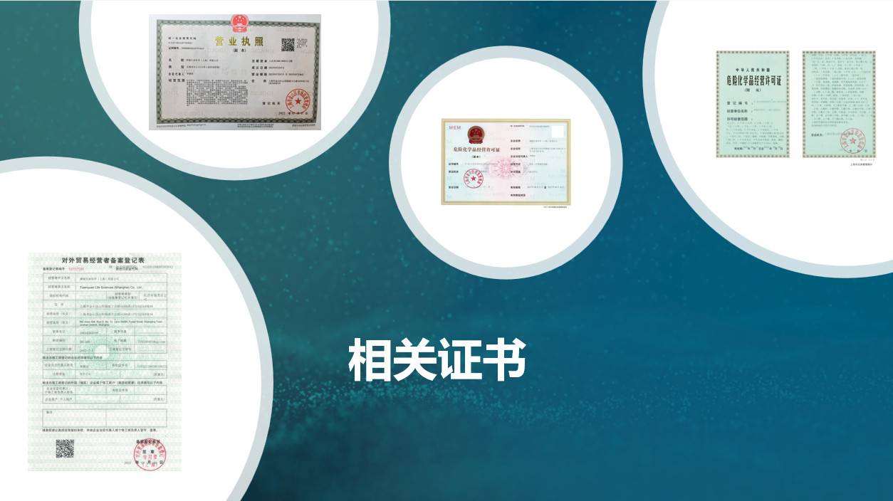 公司展示