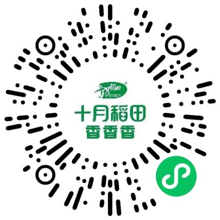 十月稻田集团股份有限公司运营专员/助理扫码投递简历