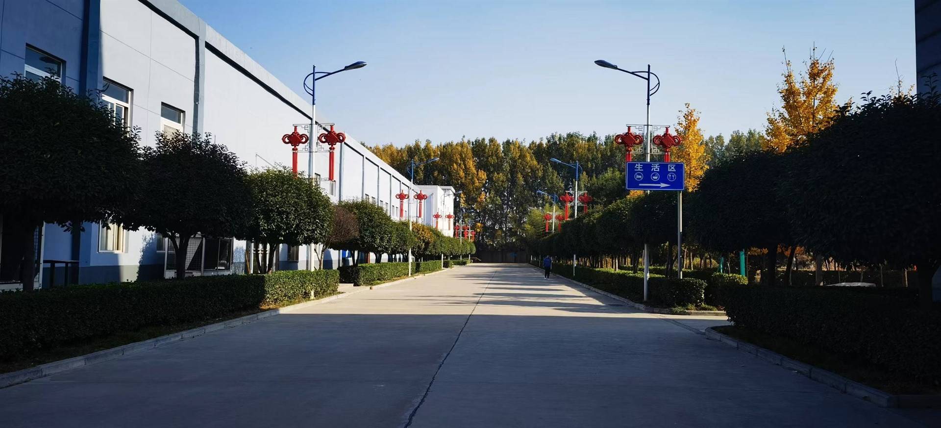 公司展示