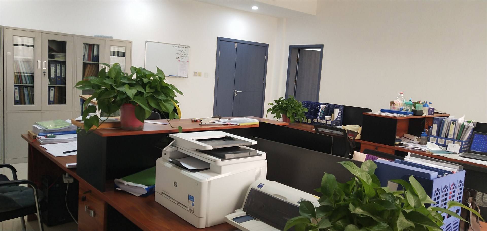 公司展示