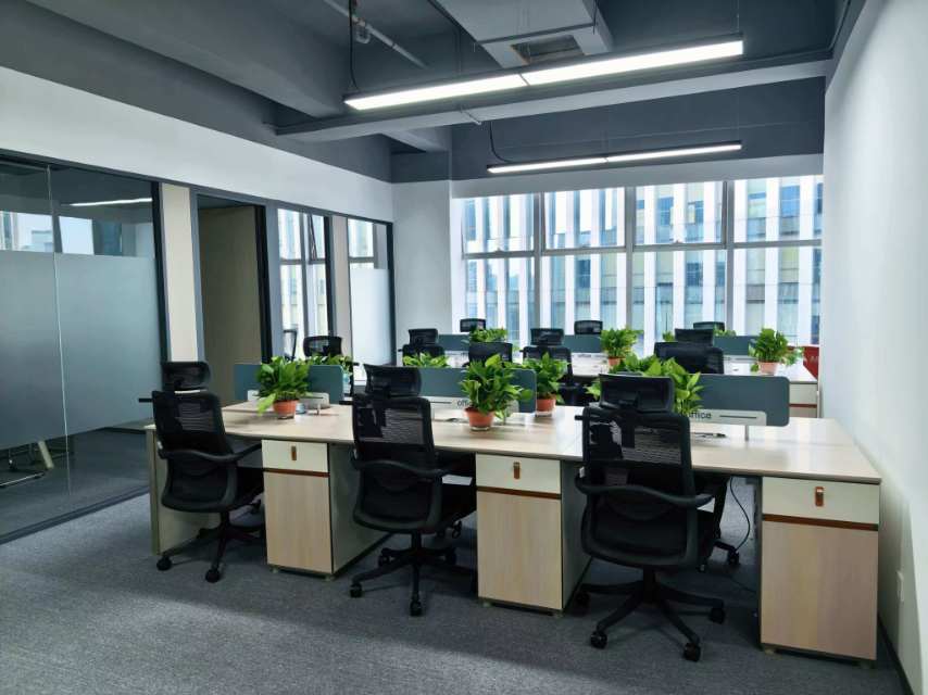 公司展示