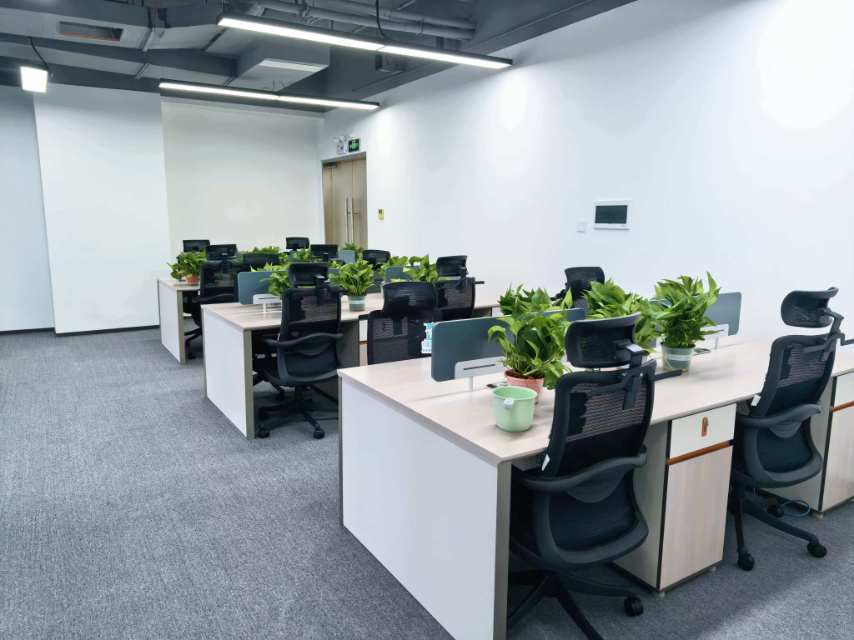公司展示