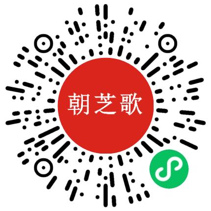 郑州朝芝歌文化有限责任公司会计扫码投递简历
