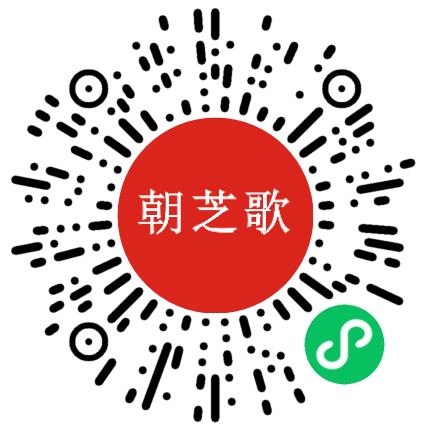 郑州朝芝歌文化有限责任公司小学教师扫码投递简历