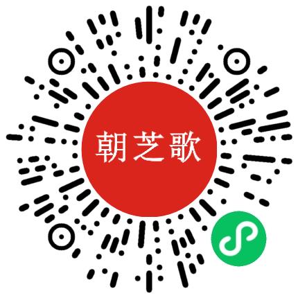郑州朝芝歌文化有限责任公司新媒体运营专员/助理扫码投递简历
