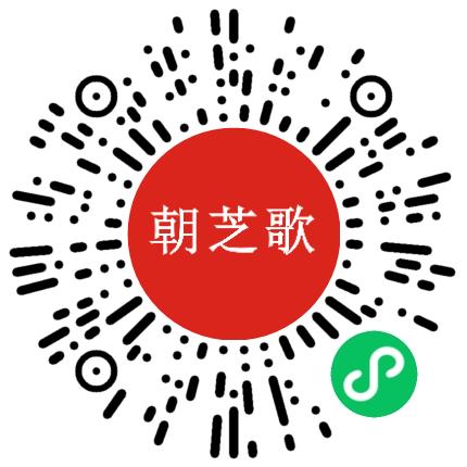 郑州朝芝歌文化有限责任公司中小学教师扫码投递简历