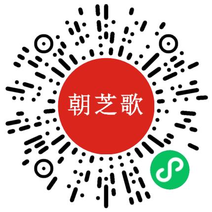 郑州朝芝歌文化有限责任公司会计扫码投递简历