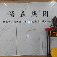 河南悟森企业管理有限公司