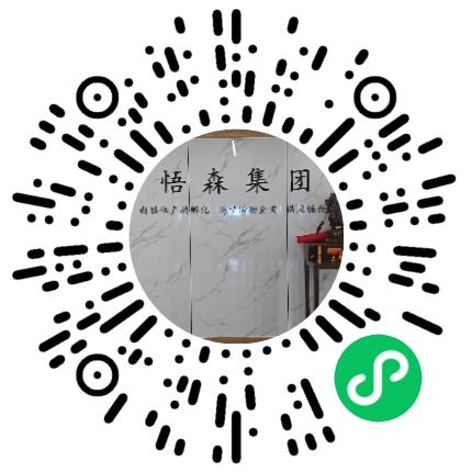 河南悟森企业管理有限公司电商运营经理/主管扫码投递简历