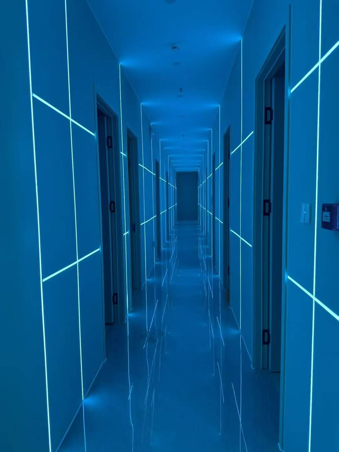 公司展示