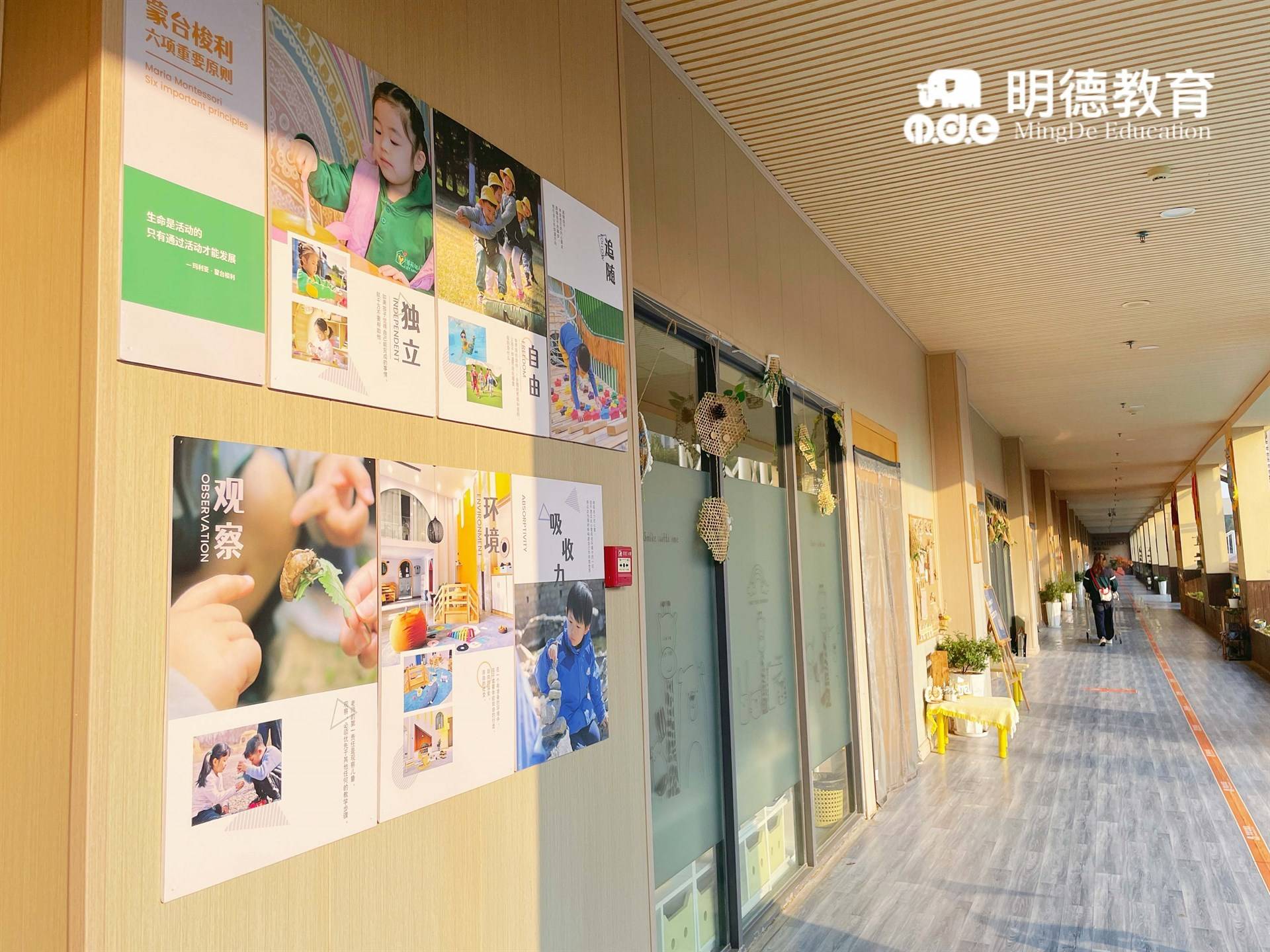 公司展示
