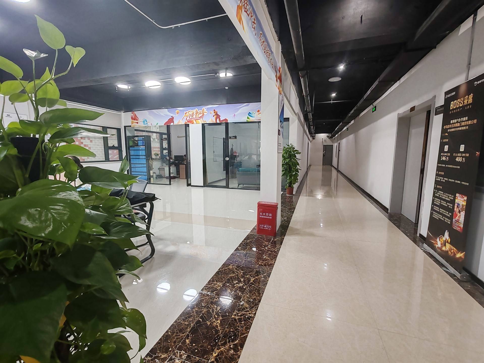 公司展示