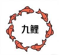 泉州九鲤酒店管理有限公司