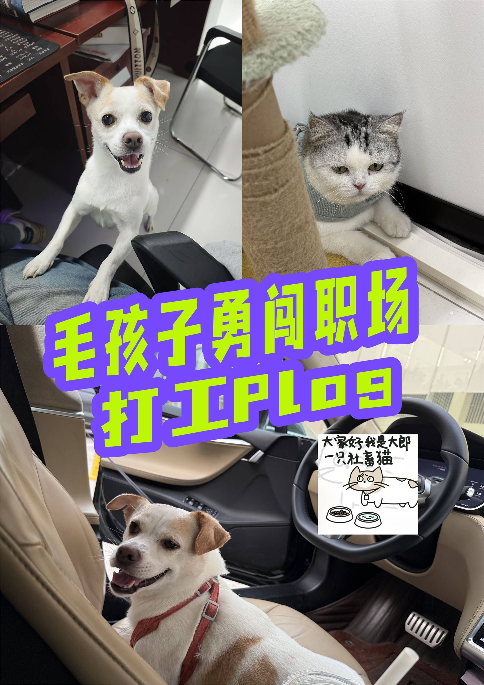 公司展示