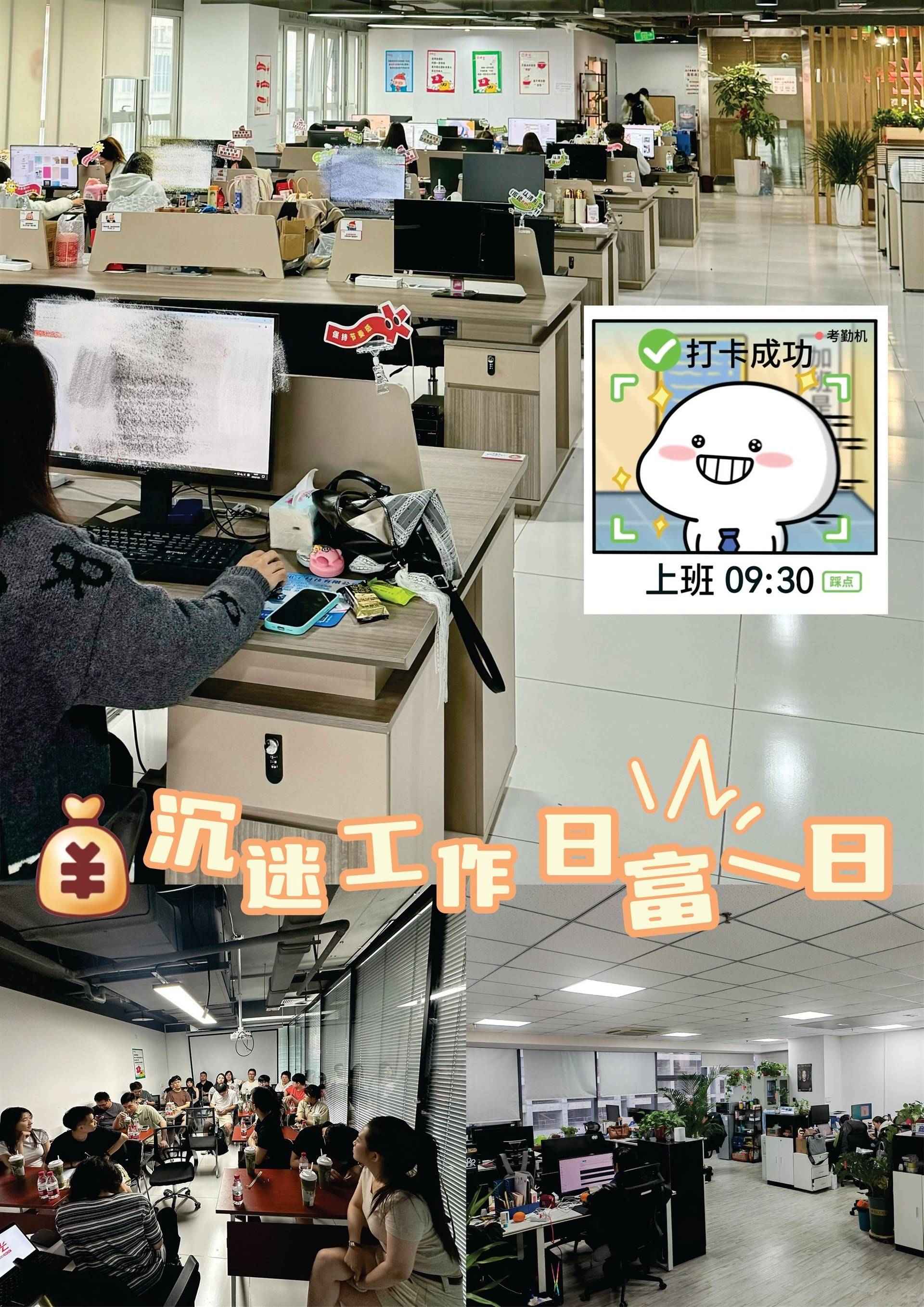 公司展示