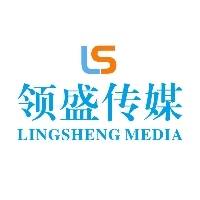 河南领盛文化传媒有限公司