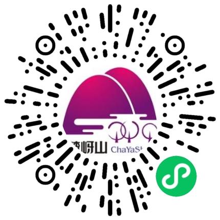 河南嵖岈山旅游实业发展集团股份有限公司导游扫码投递简历