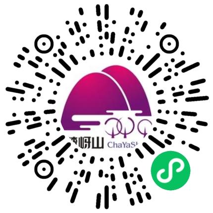 河南嵖岈山旅游实业发展集团股份有限公司票务扫码投递简历