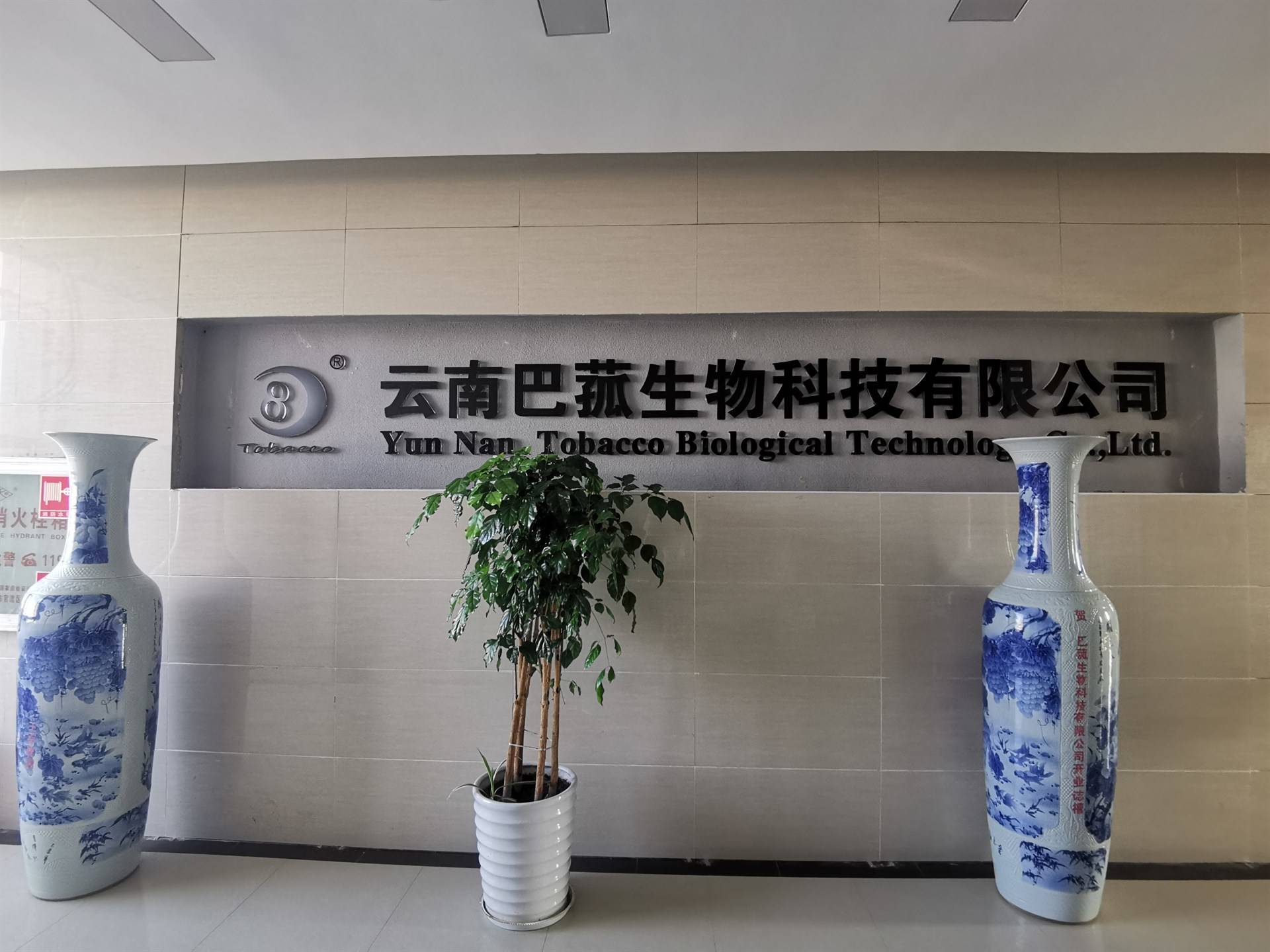 公司展示