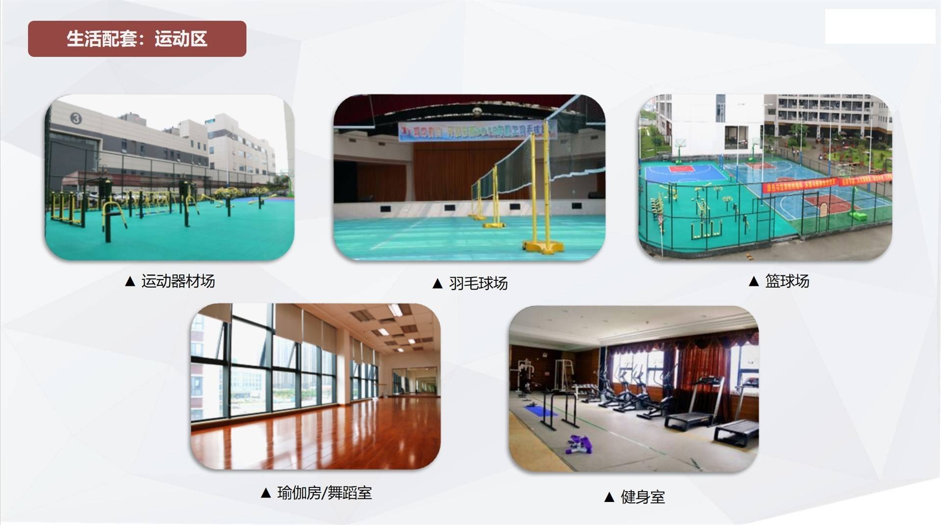 公司展示