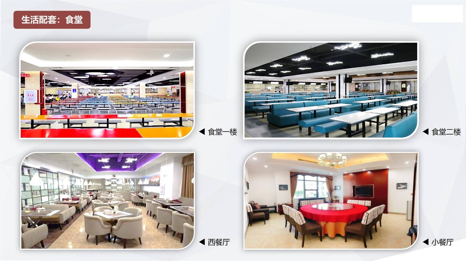 公司展示