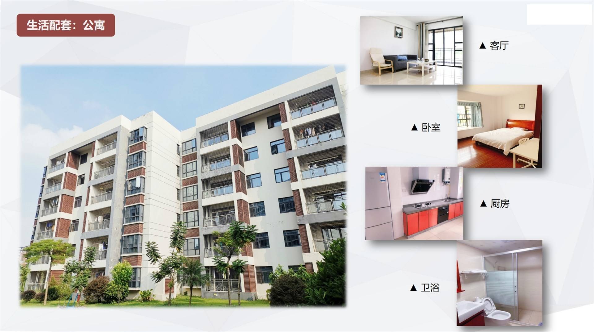 公司展示