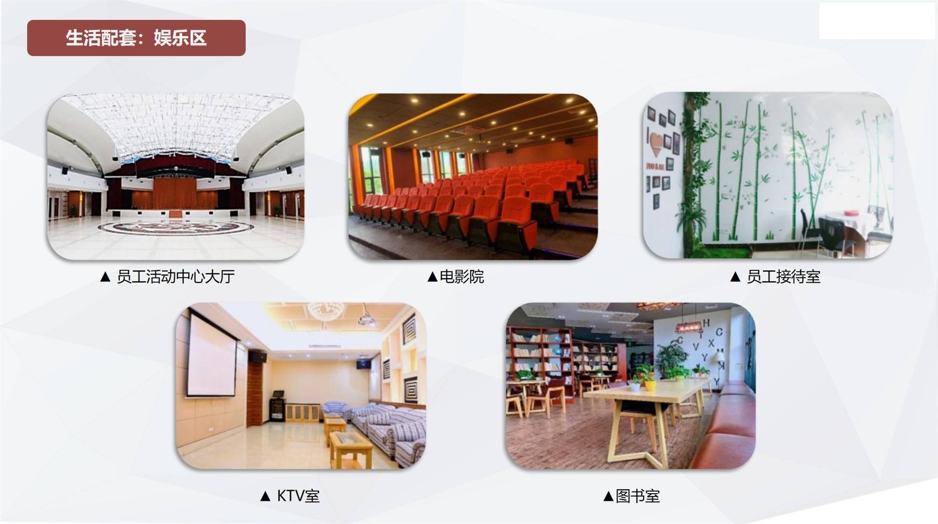公司展示