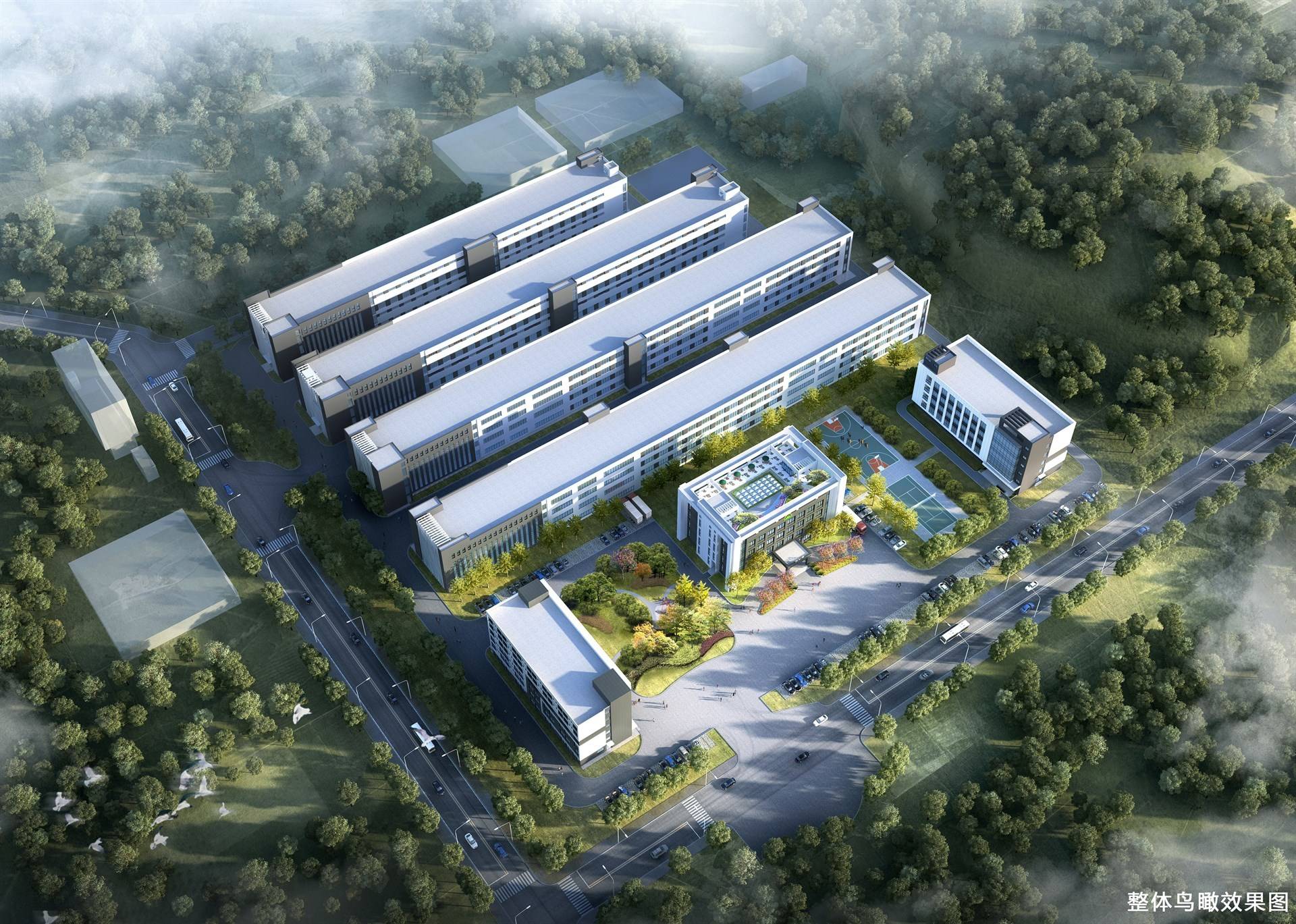 公司展示