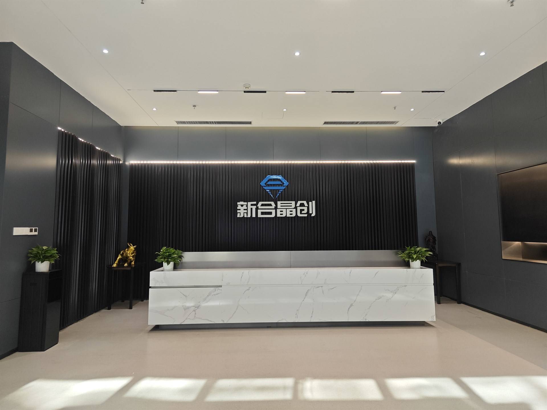 公司展示