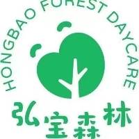 洛阳市弘宝森林托育服务有限公司