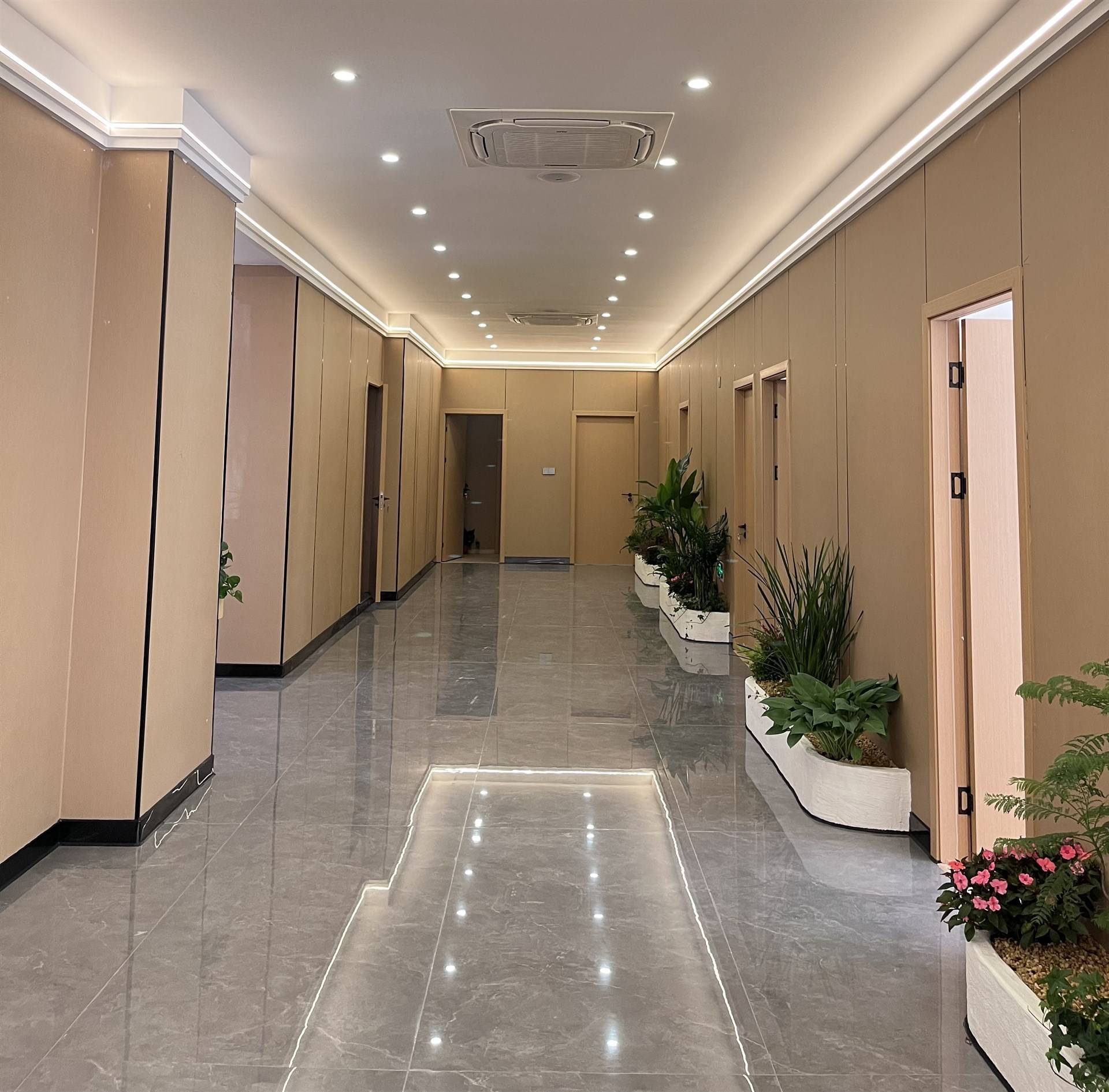 公司展示