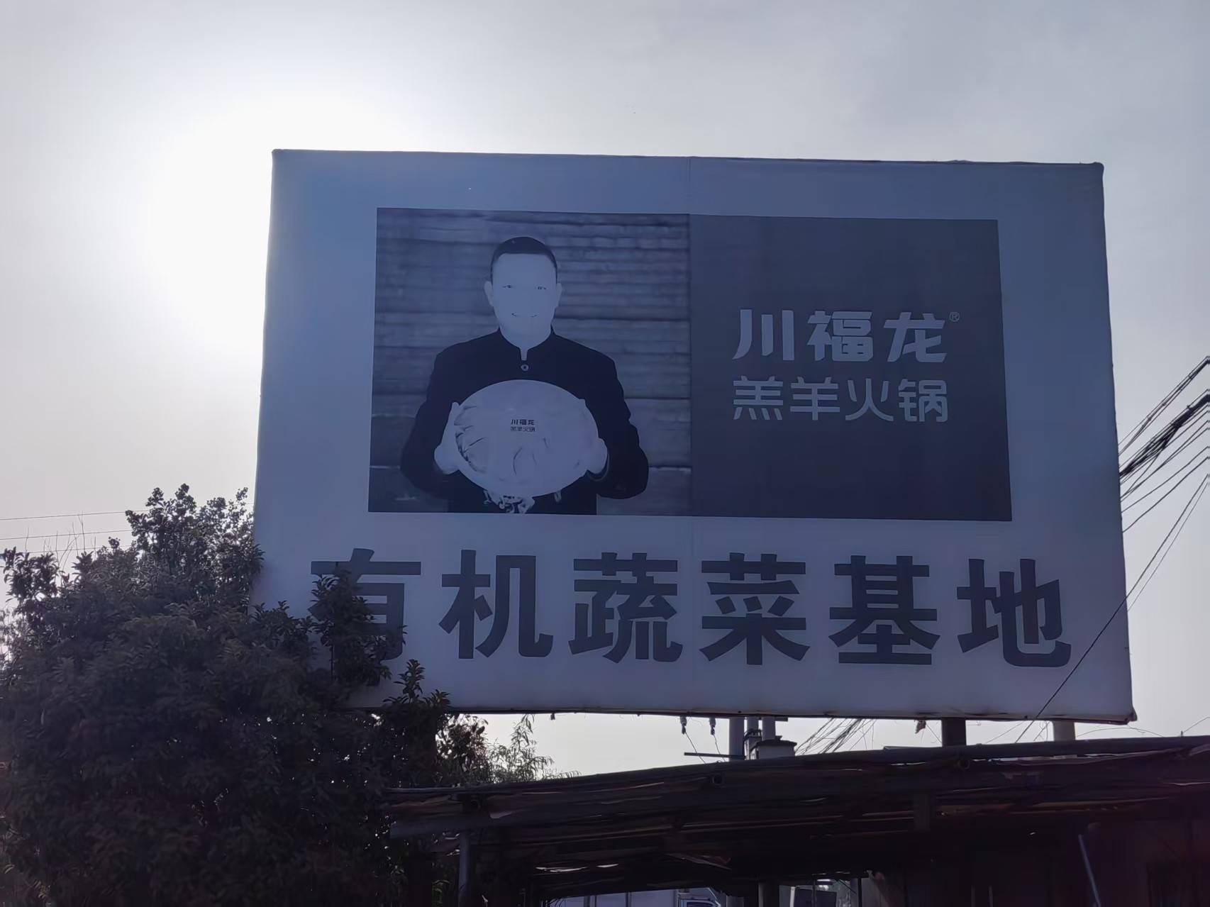 公司展示