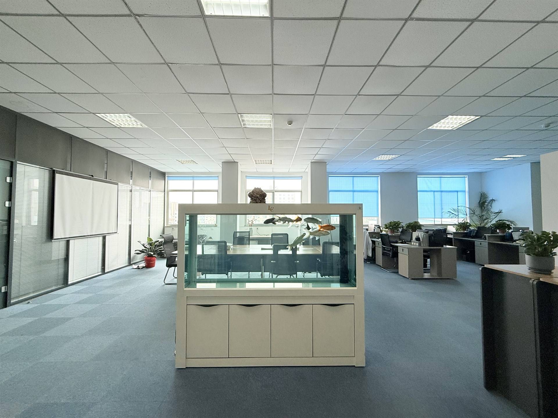 公司展示
