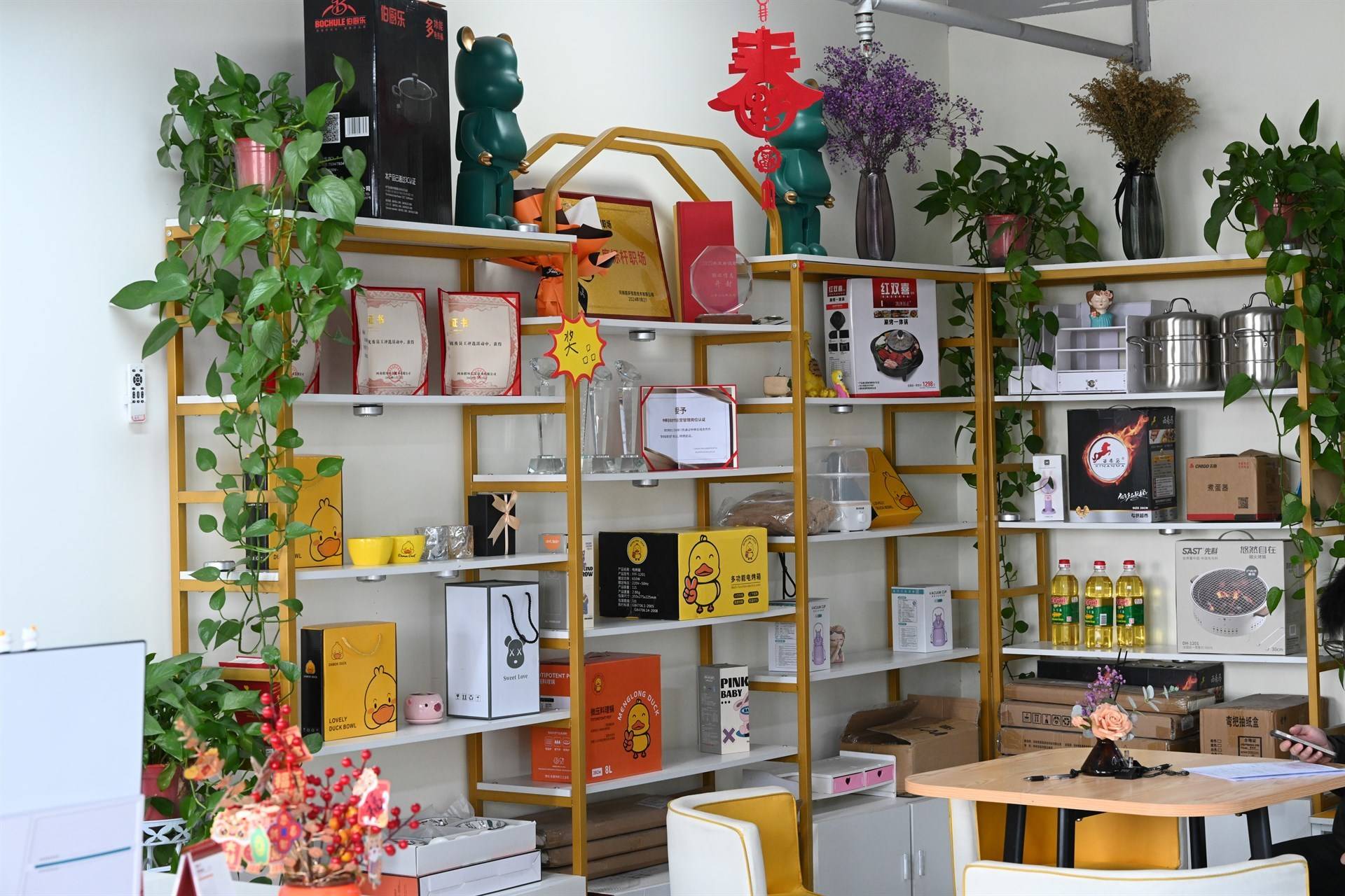 公司展示