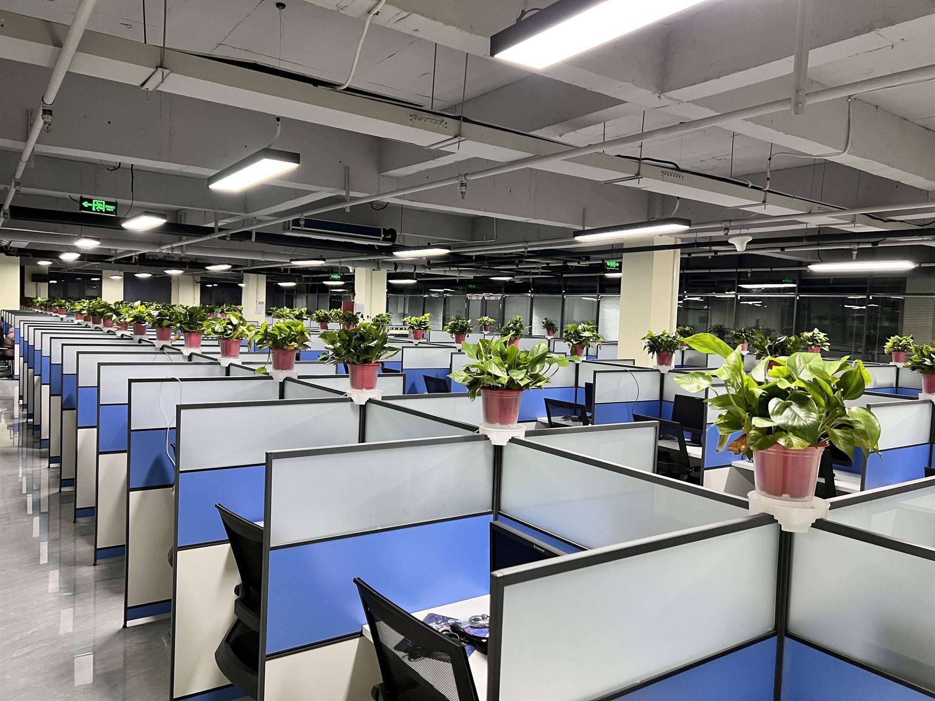 公司展示