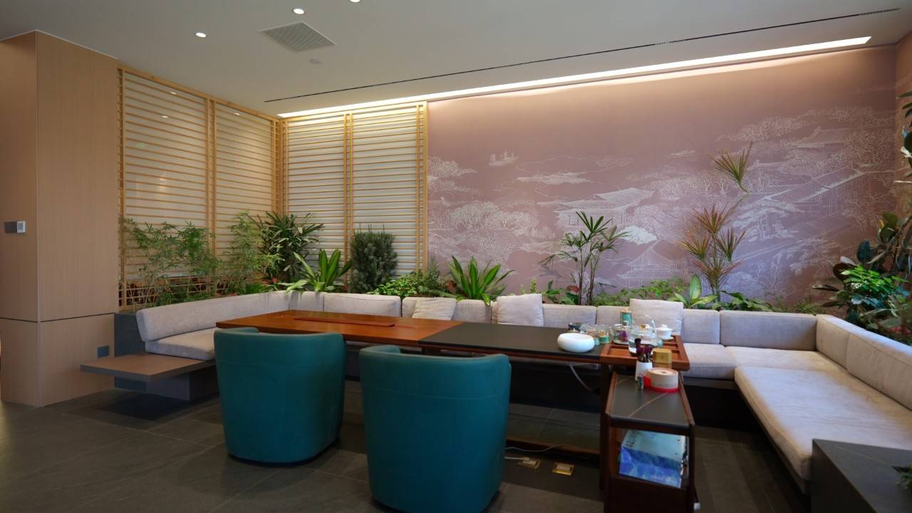 公司展示