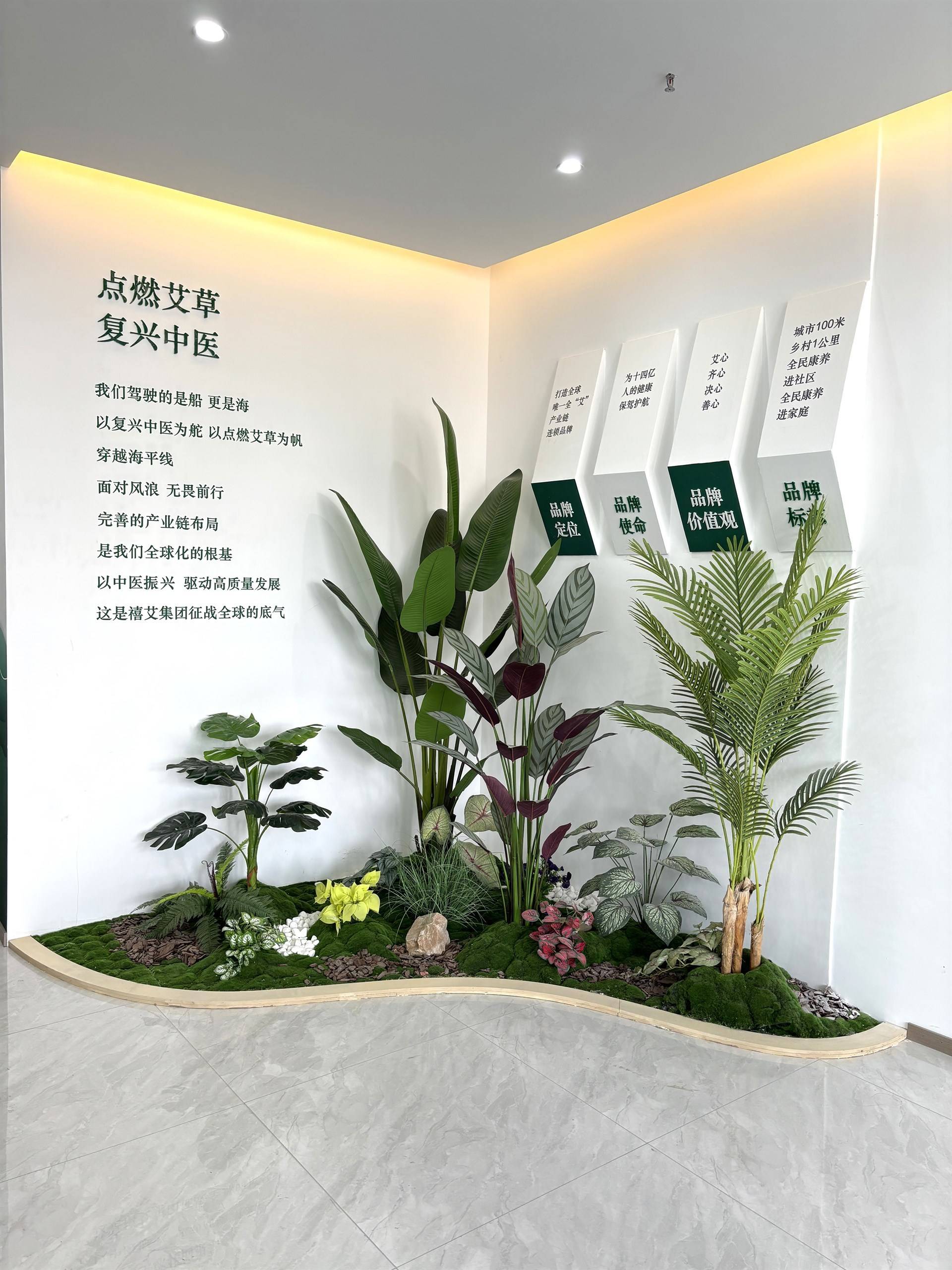 公司展示