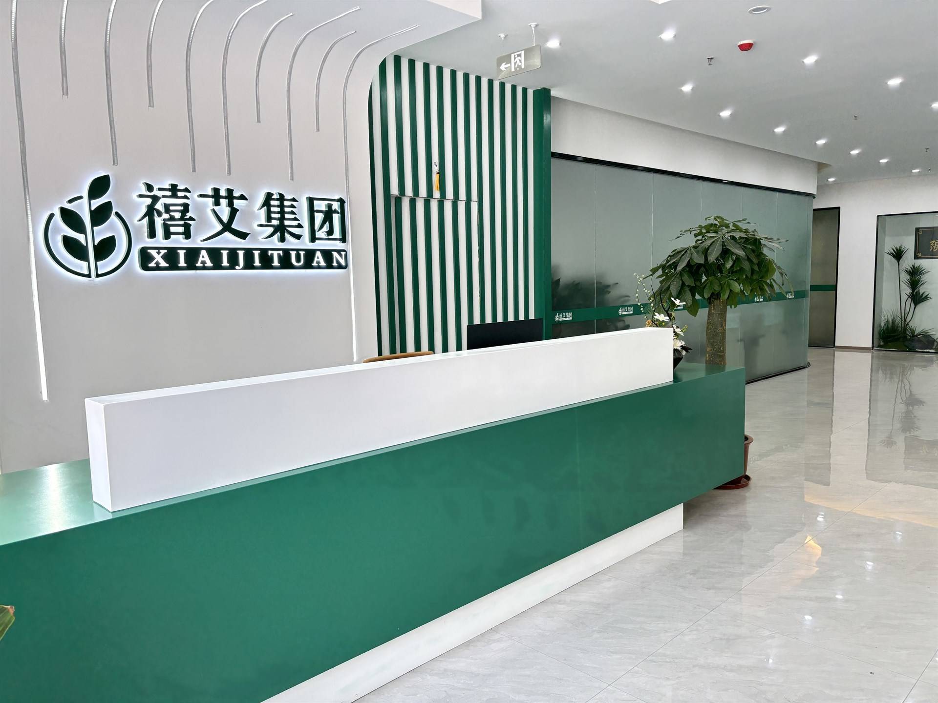 公司展示