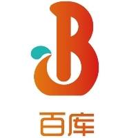 山东百库科技信息有限公司