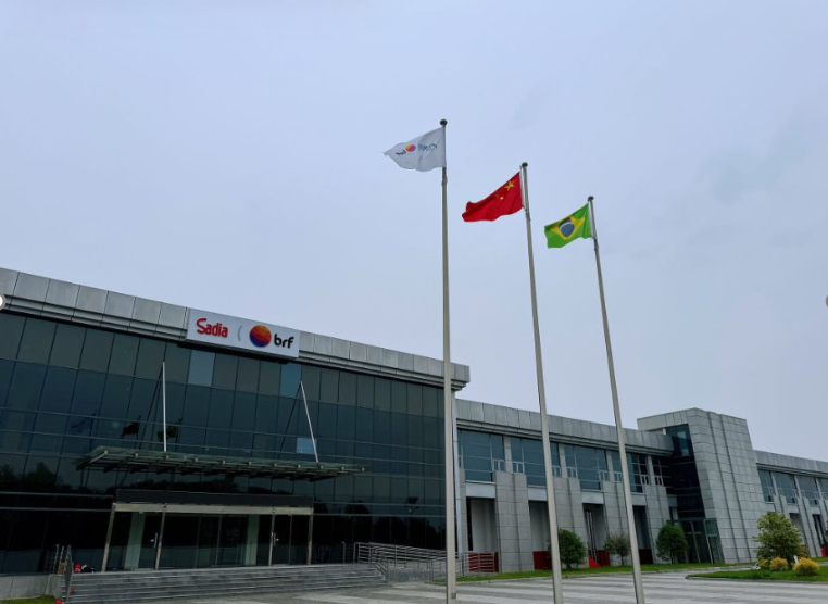 公司展示